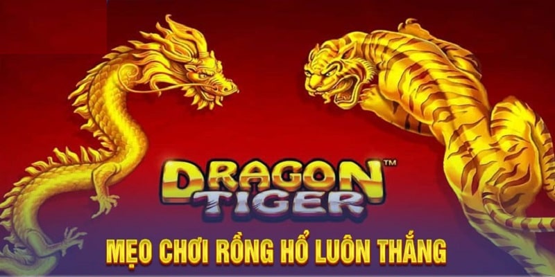 Kinh nghiệm chơi thắng lớn game Rồng Hổ 